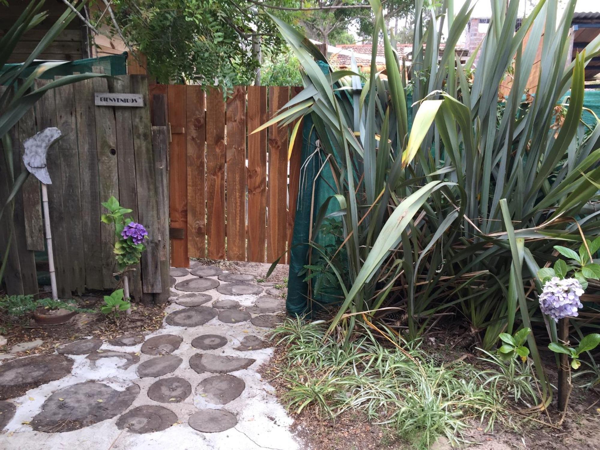 Lunas Del Bosque Cabana Y Apartamento En Suite لا بالوما المظهر الخارجي الصورة