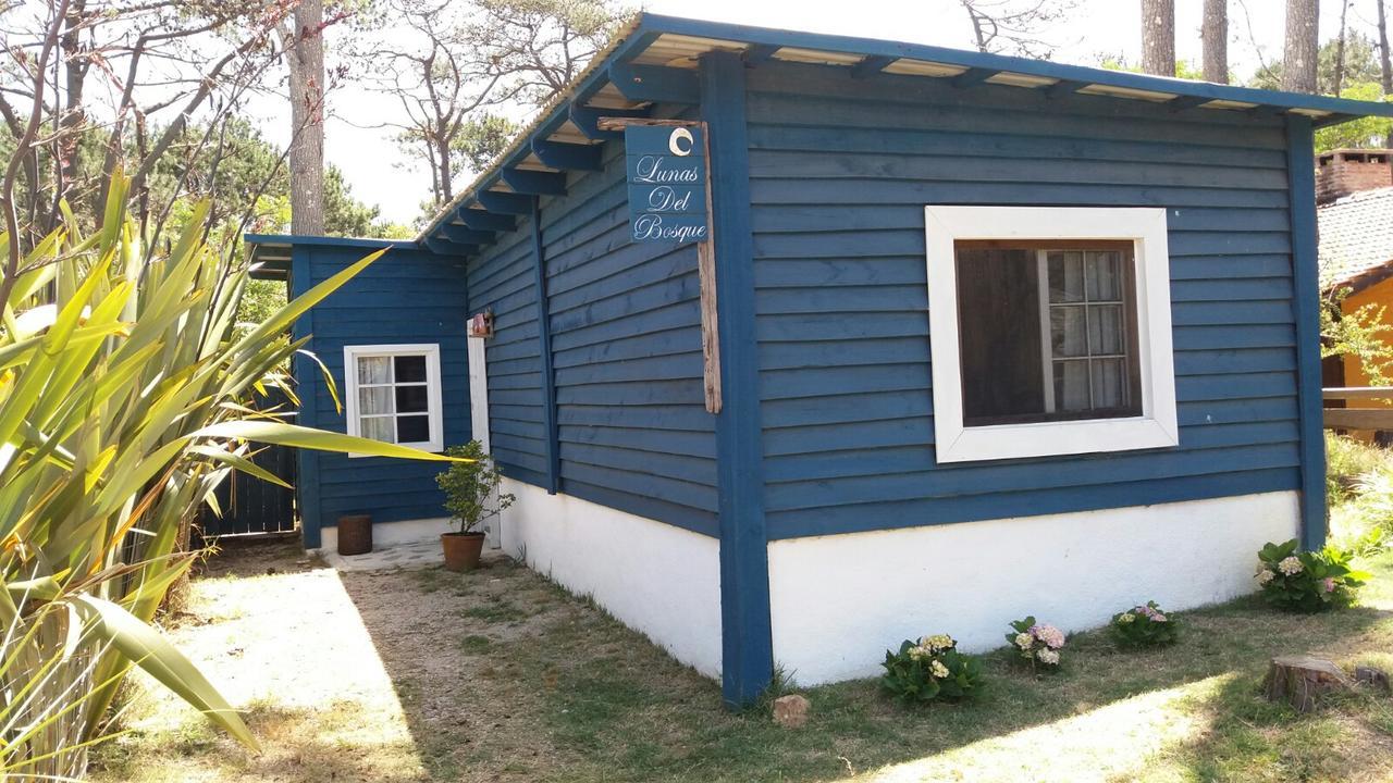 Lunas Del Bosque Cabana Y Apartamento En Suite لا بالوما المظهر الخارجي الصورة