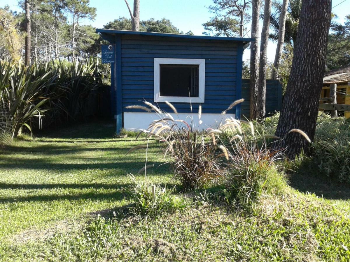 Lunas Del Bosque Cabana Y Apartamento En Suite لا بالوما المظهر الخارجي الصورة